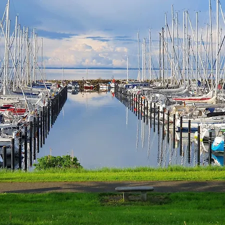 Bambuswald Geltinger Bucht * Koppelheck