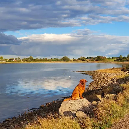 Bambuswald Geltinger Bucht