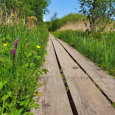 Lejlighed Bambuswald Geltinger Bucht *